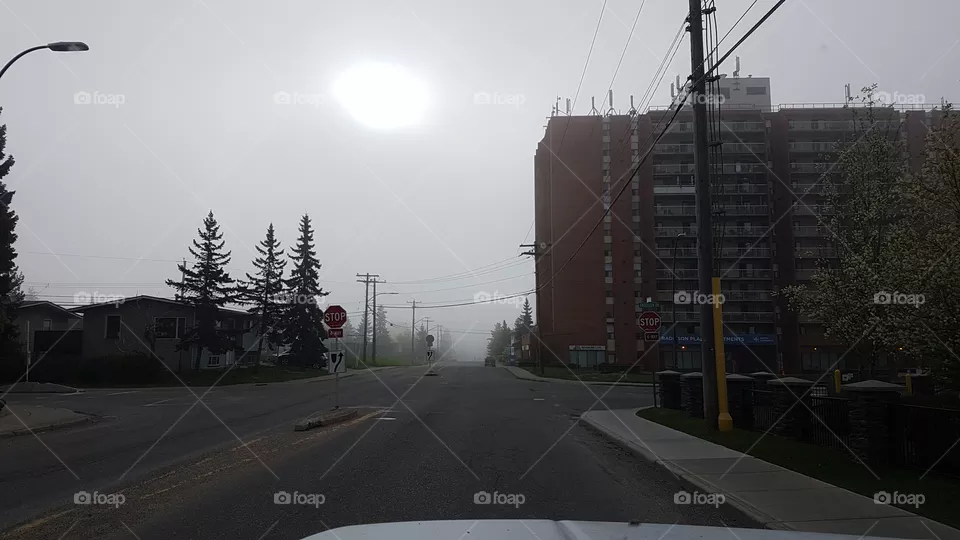 The Fog