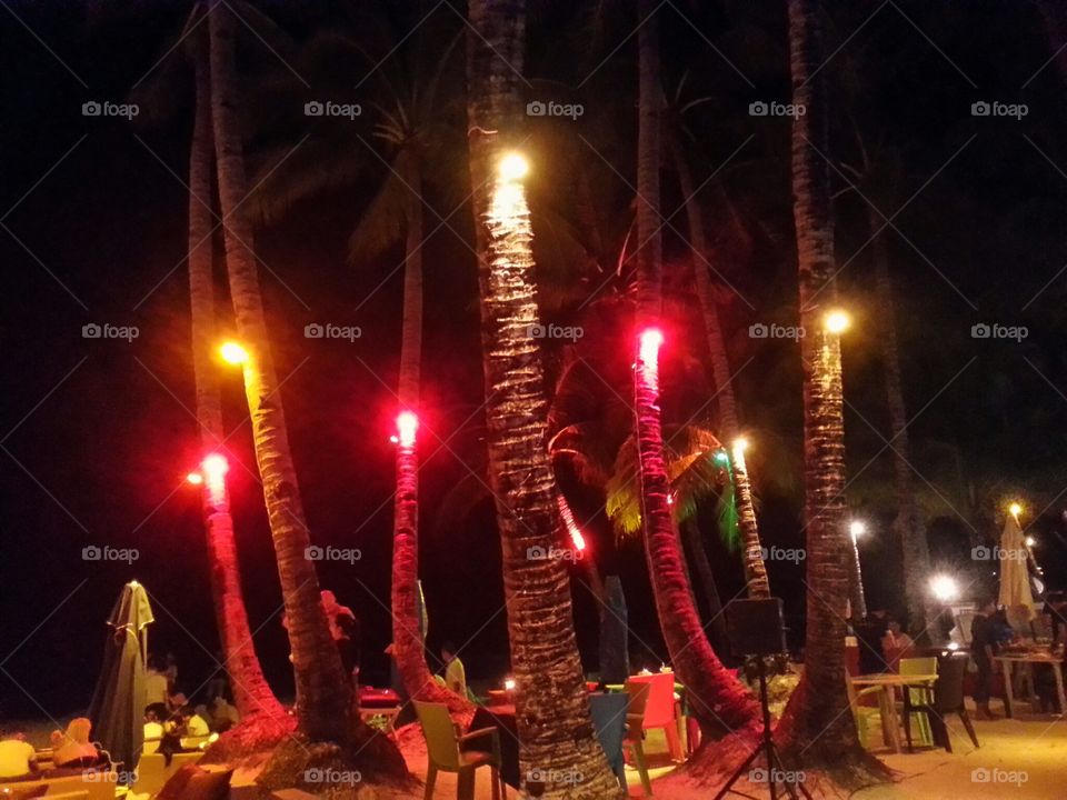Lighted Coconut Trees at Night in Boracay