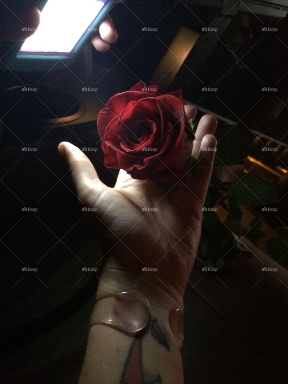 Hand holding a rose. 