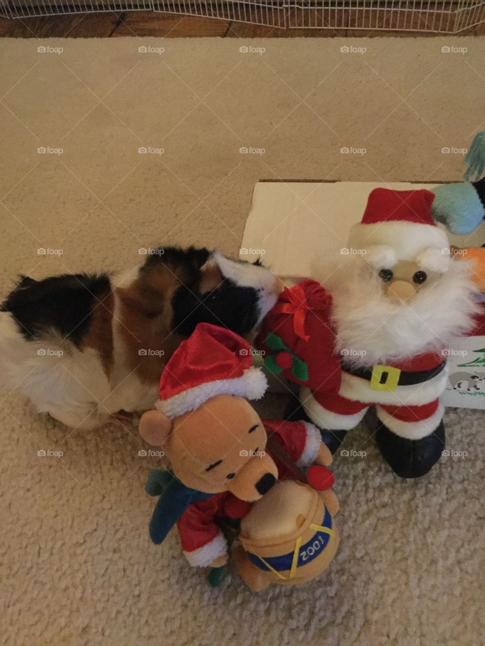 Dog, Canine, Mammal, Christmas, Toy