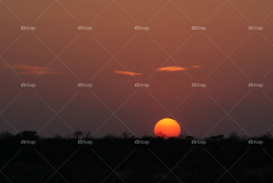 sunset in south african bushvelt