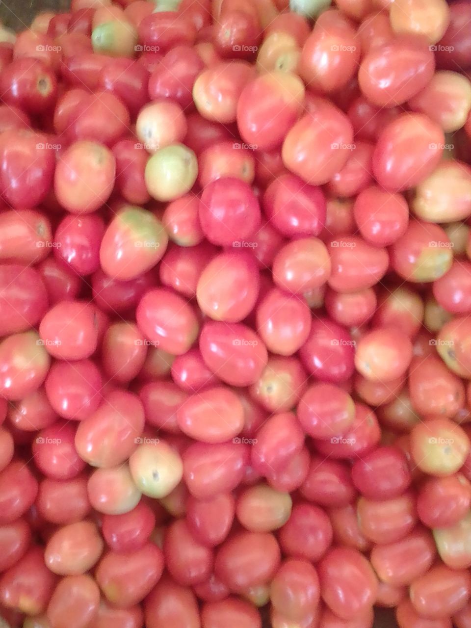 Sri Lankan Tomatoes 🍅 🍅 🍅 🍅 ..