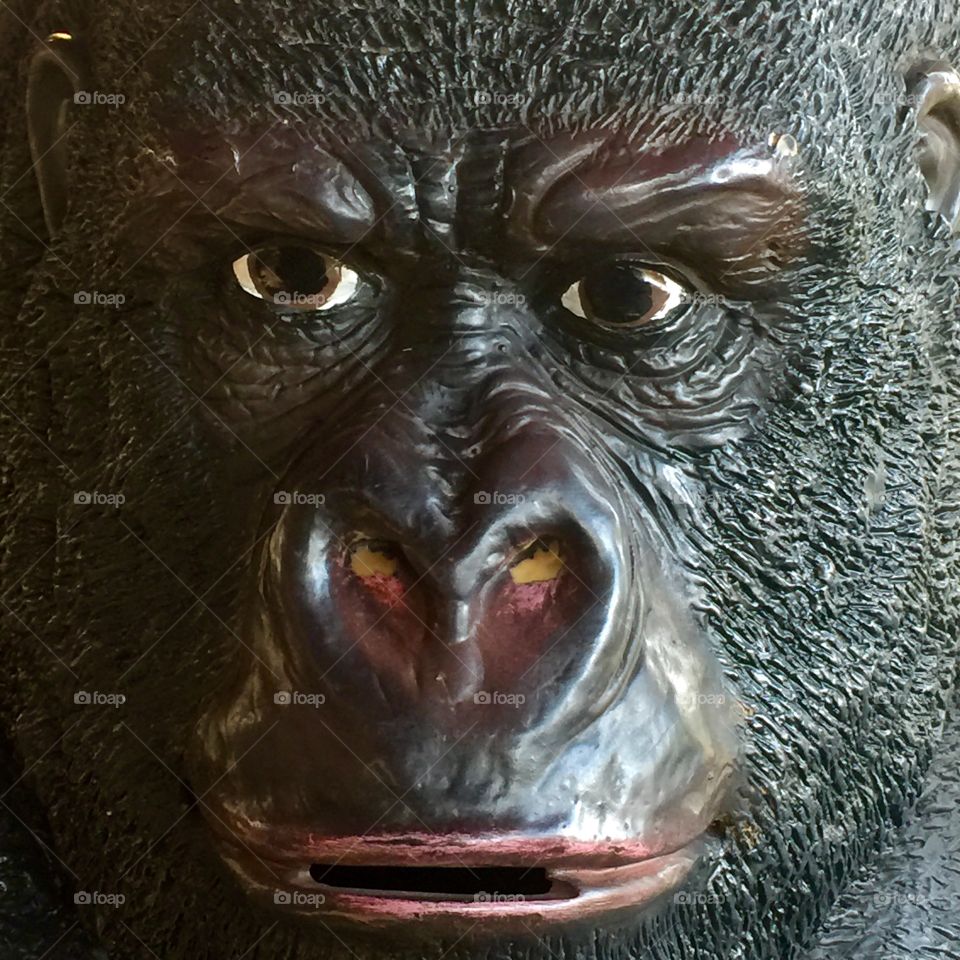 Gorilla