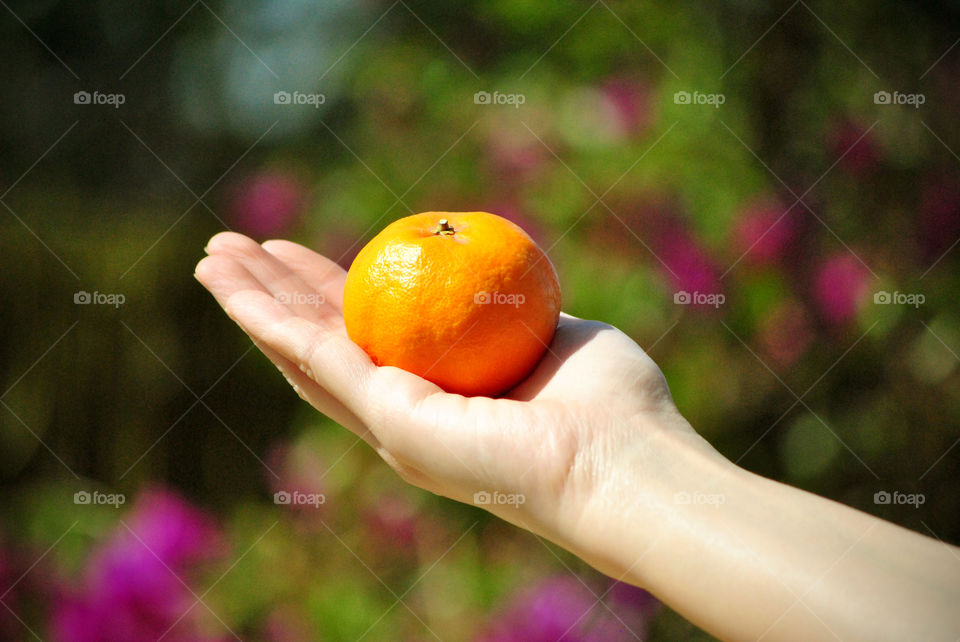 Holding an orange on hand