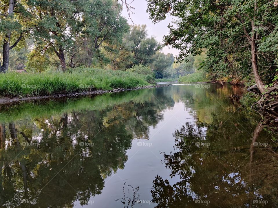 beauty where you don't expect it to be