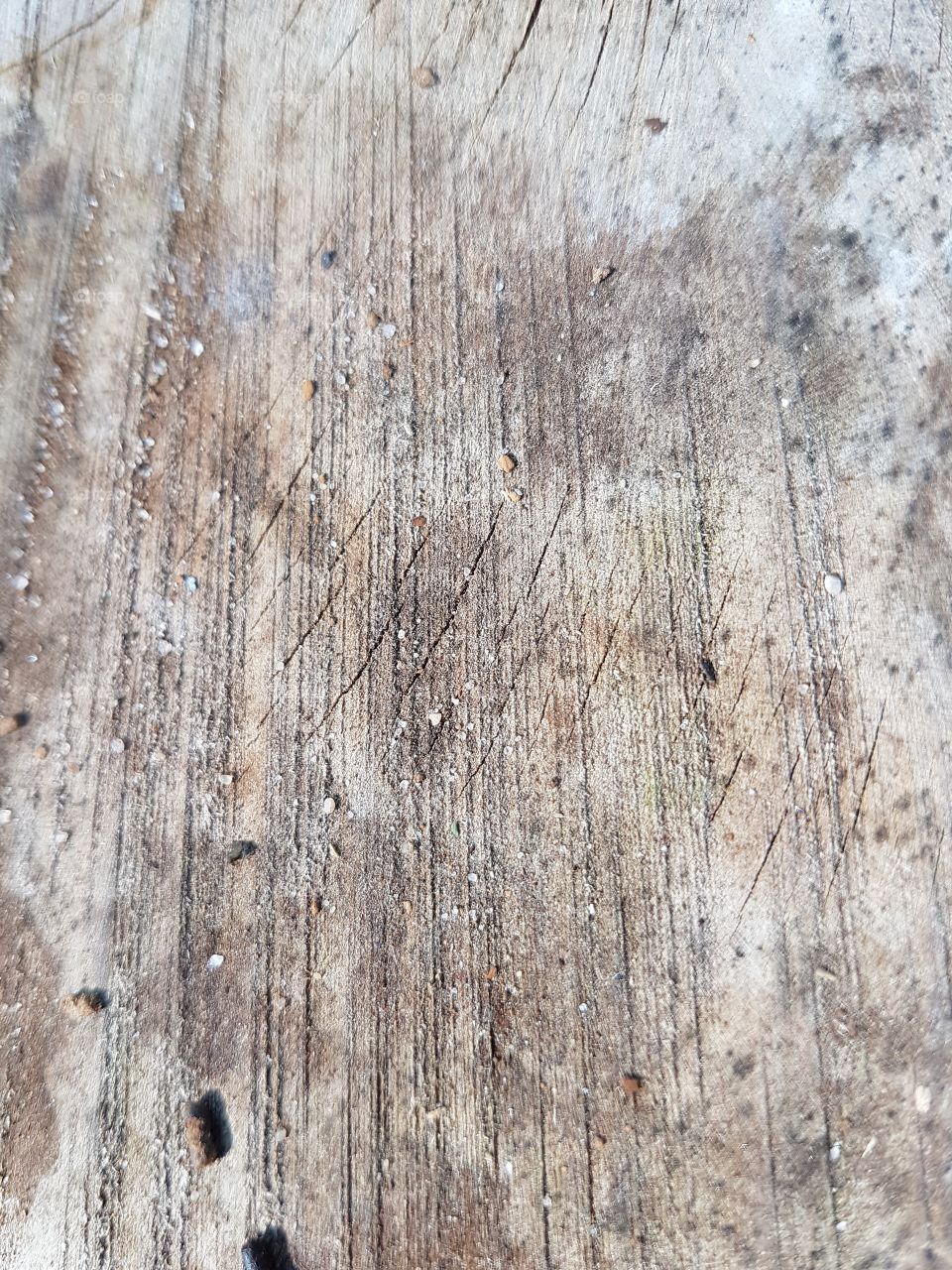 wood texture