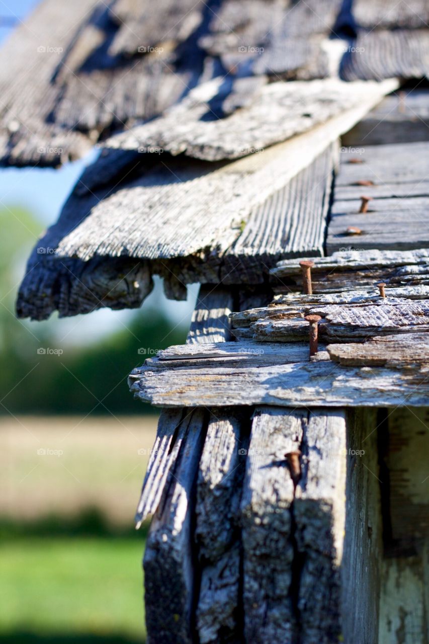 Antique Shed Roof - detail of nails in worn shingles, weathered ends of roofing boards, blurred farmland in background 