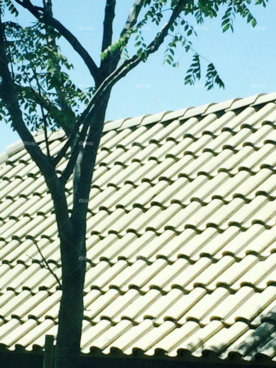 Roof tiles