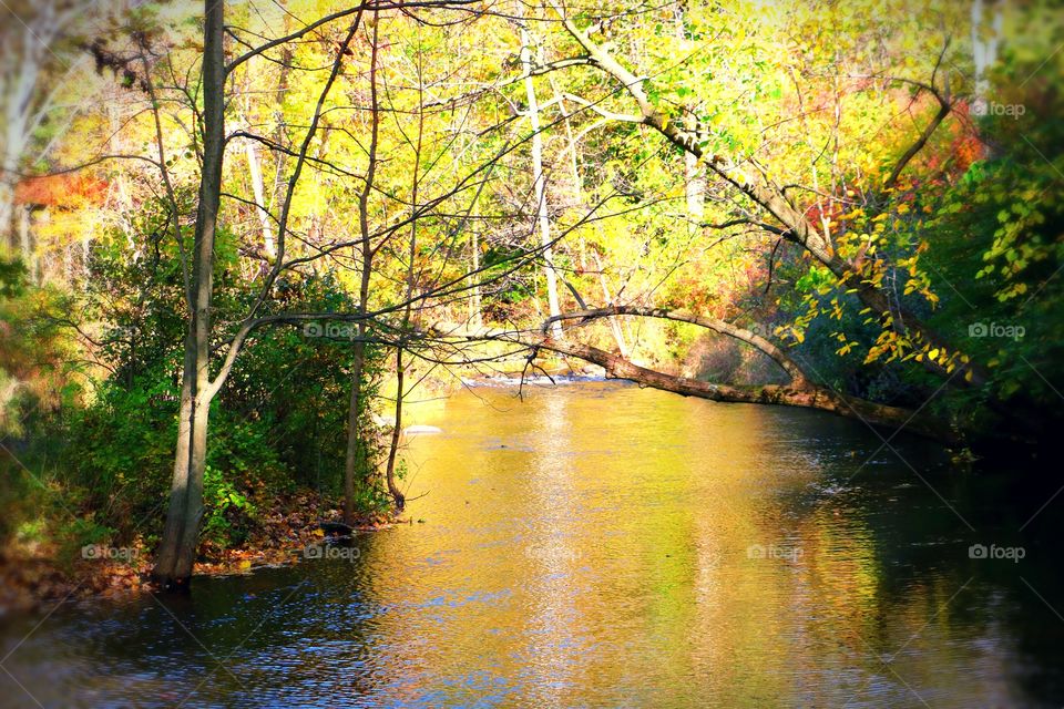 Beautiful colors from the trees reflecting on the water