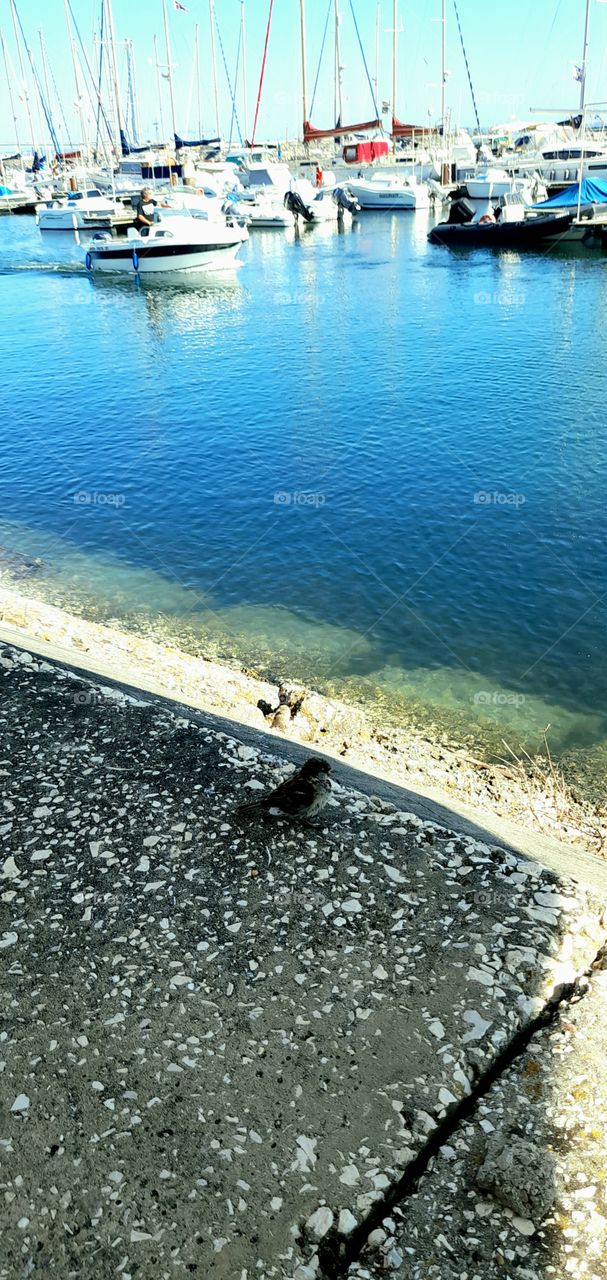 passeando à beira rio