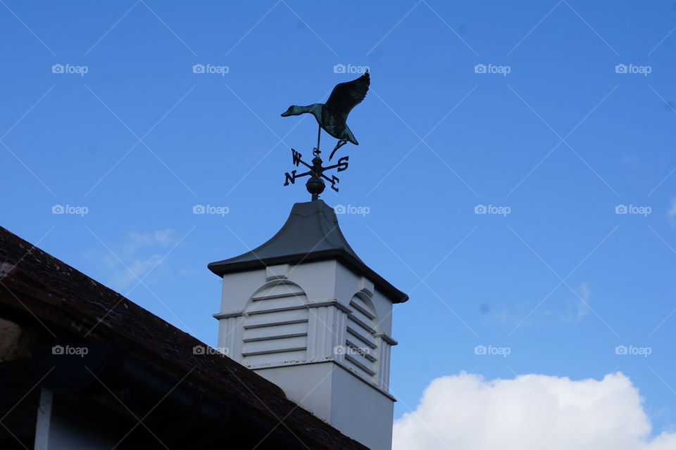 Realistic bird weathervane on a country house highlighted against the bright blue late Summer sky 