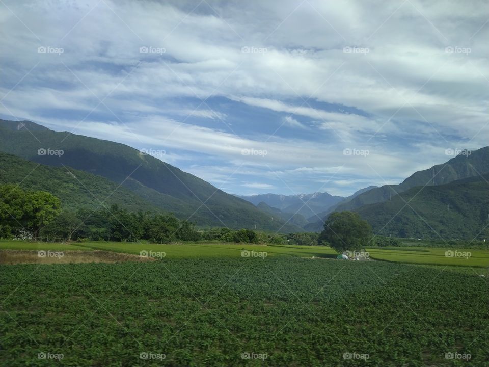 a refreshing greenlands