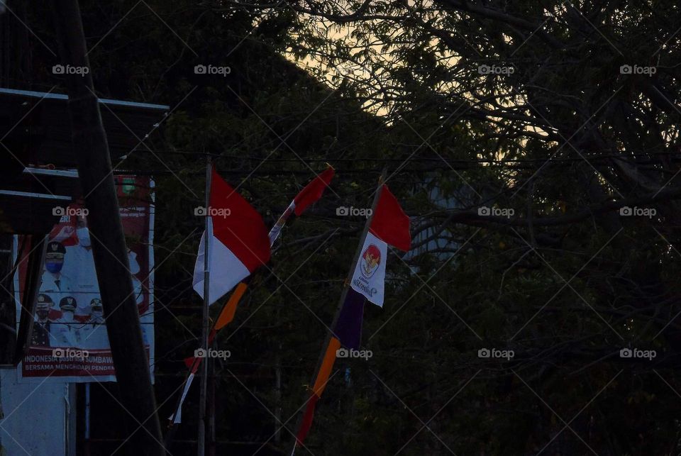 Indonesian flag country , red & white . Looks for similar with other country : Maroco & Singapore . Just only the colour of that, not to the size, shape of flag and ornament at the flag .