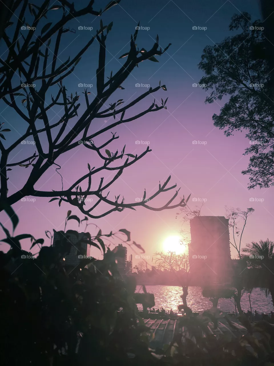 Sky