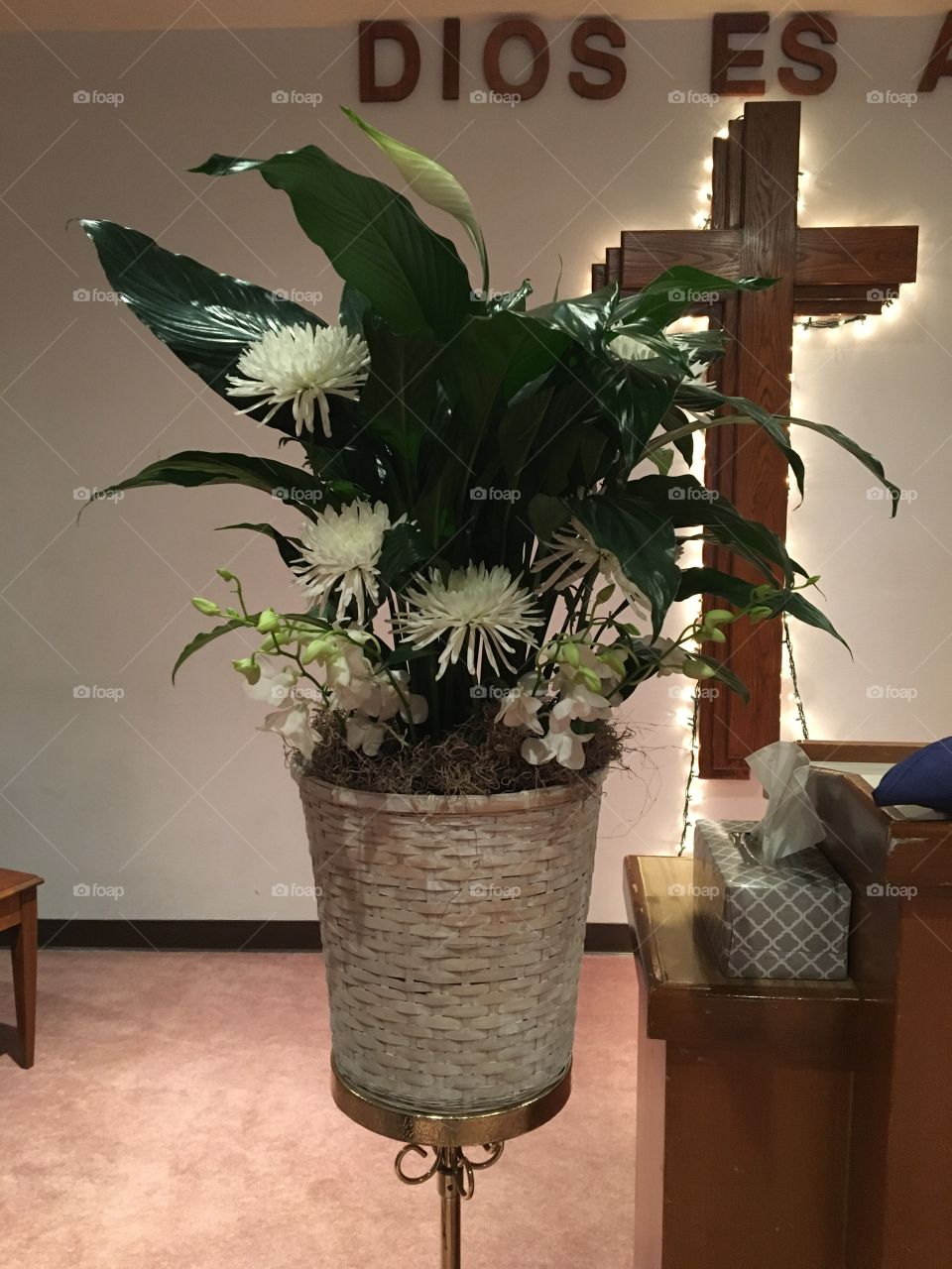 Peace lily plant with white spider moms and white Dendrobium orchid’s