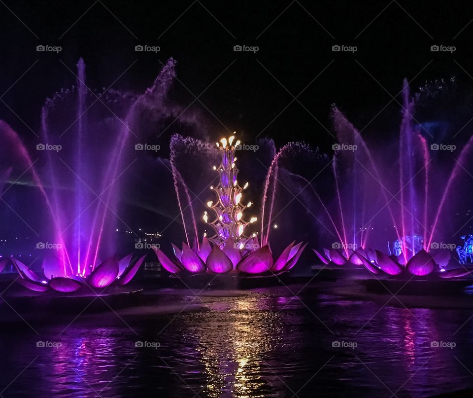 Beautiful purple lights illuminating the fountains during the River of Light show 
