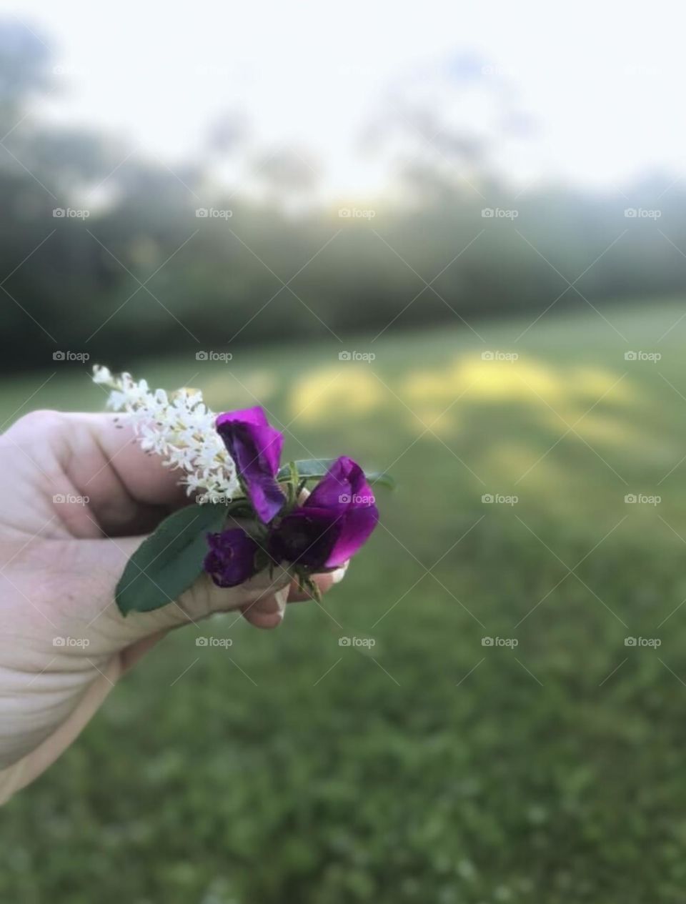 A freshly handpicked violet and purple wildflower with tiny white flowers are the perfect sign of adoration from a son to his mom. Boymom life at the baseball fields. 