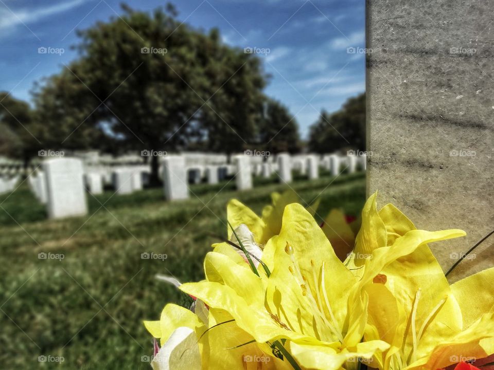 War memorial cemetery