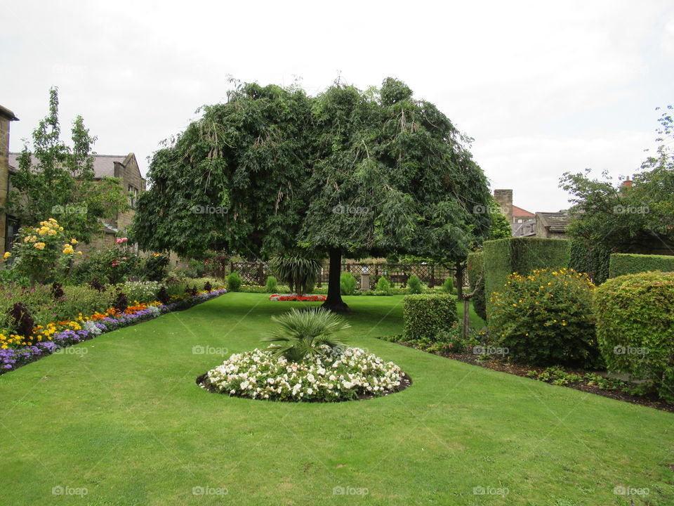 Bakewell park derbyshire