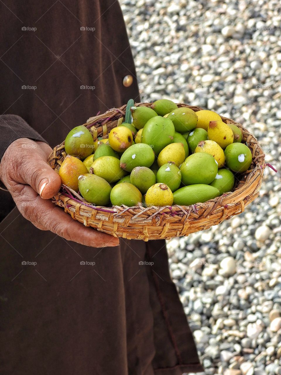 Person holding argan fruit