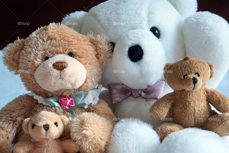 Family. Family of teddy bears