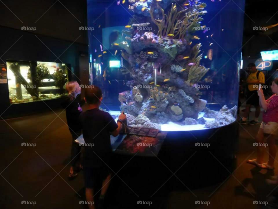 Enjoing the aquatic life at the aquarium.