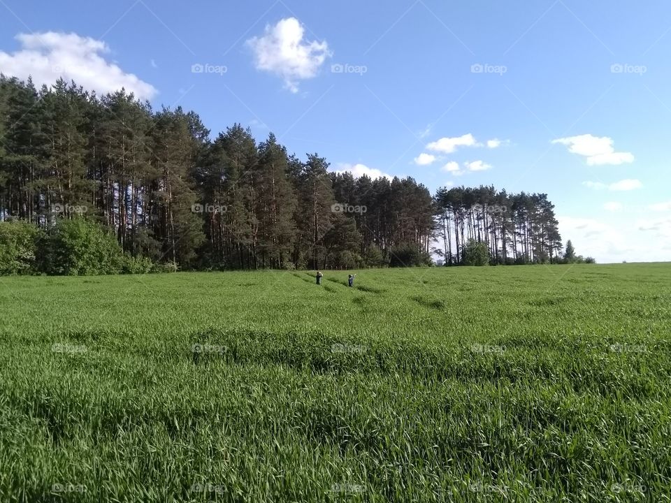 green field and children play summer landscape