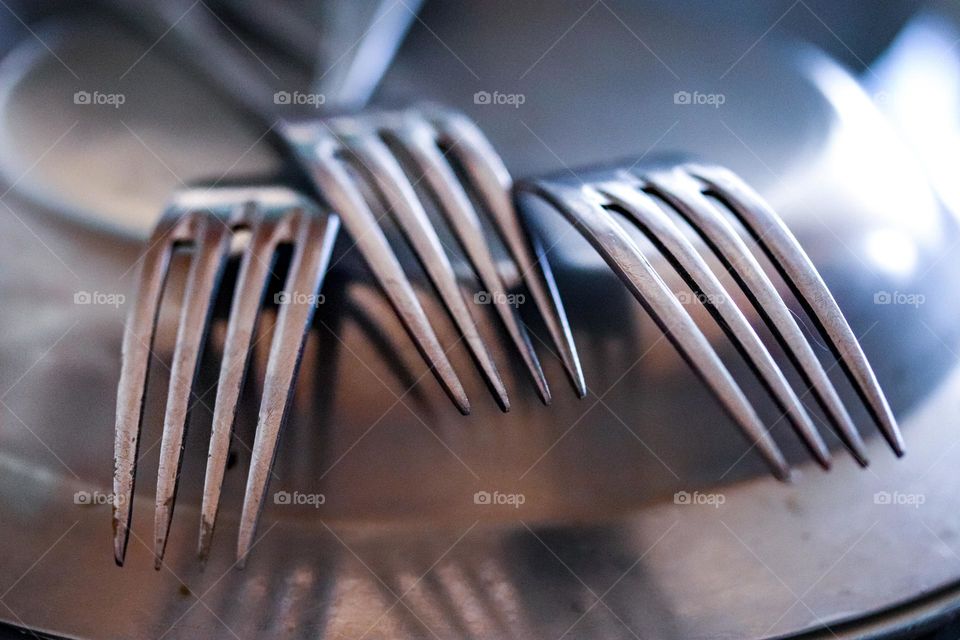 Forks