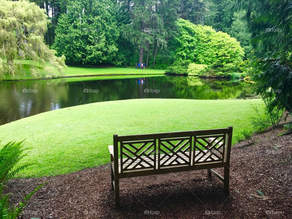 Serenity Bench with Water Landscape
