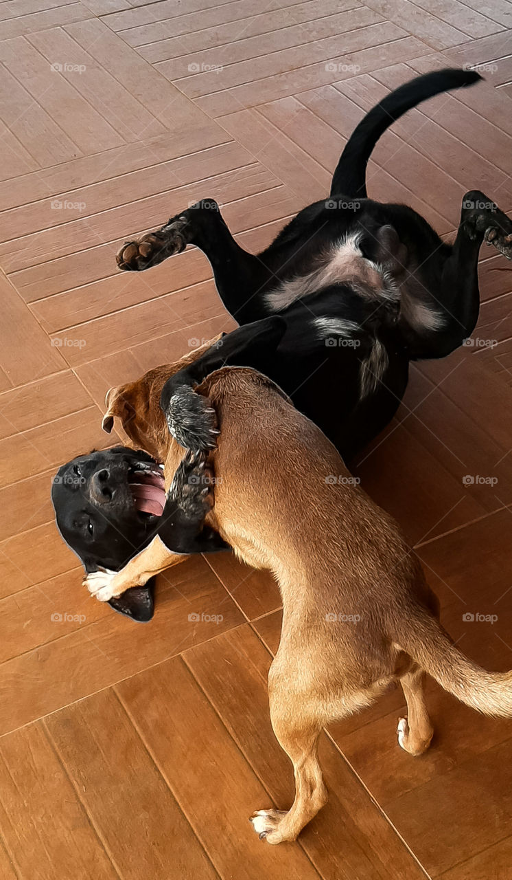 That tight hug between friends.