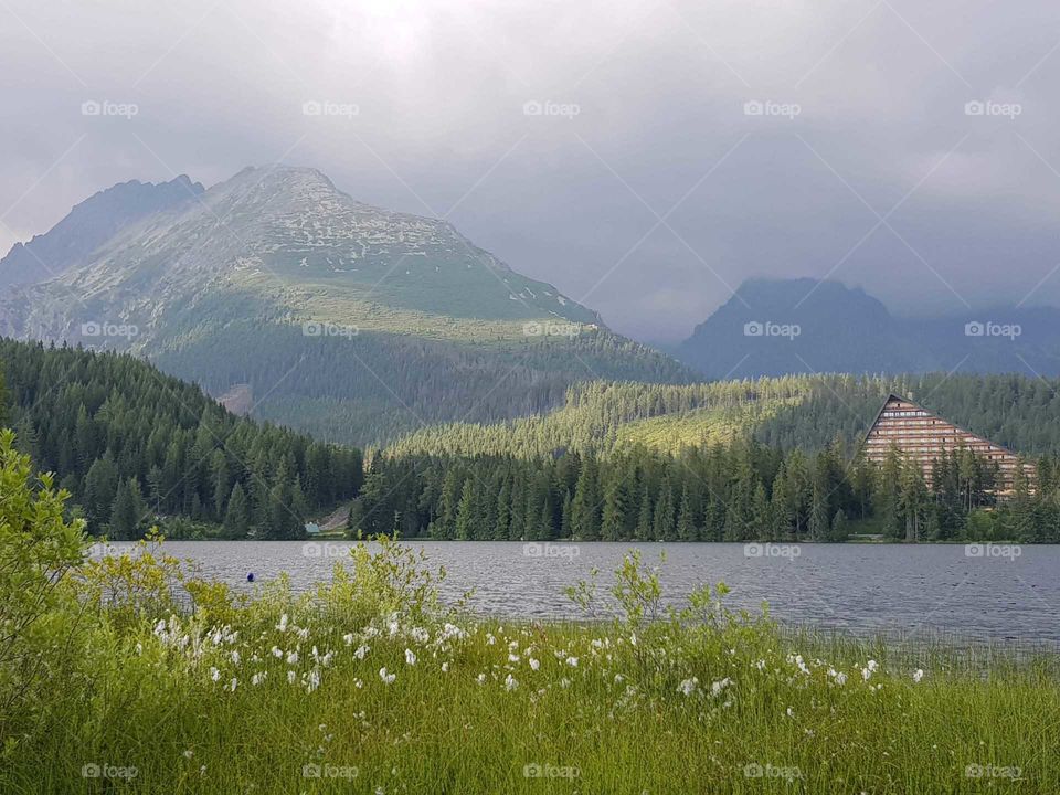 Amazingly beautiful pine forest seen from across the lake in Štrbké Pleso, Slovakia.