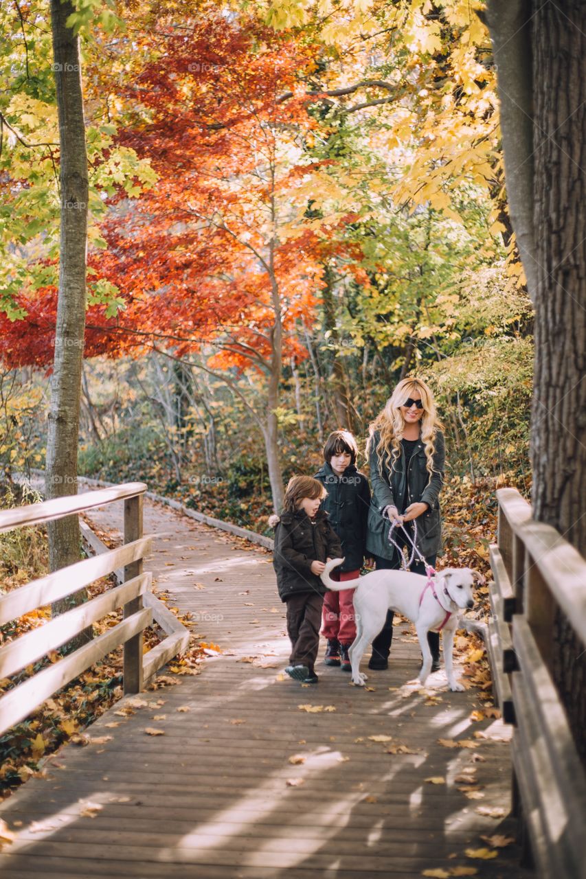 Family walking a dog at the park