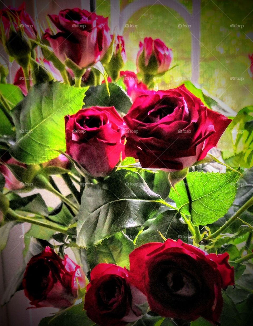 Roses