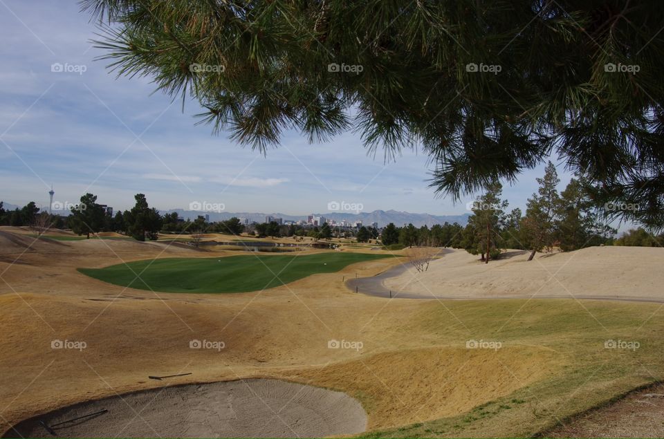 Exterior daylight.  Las Vegas, NV, USA.  Desert Pines Golf Club.  Pine overhangs shot of brown rough and green fairways.