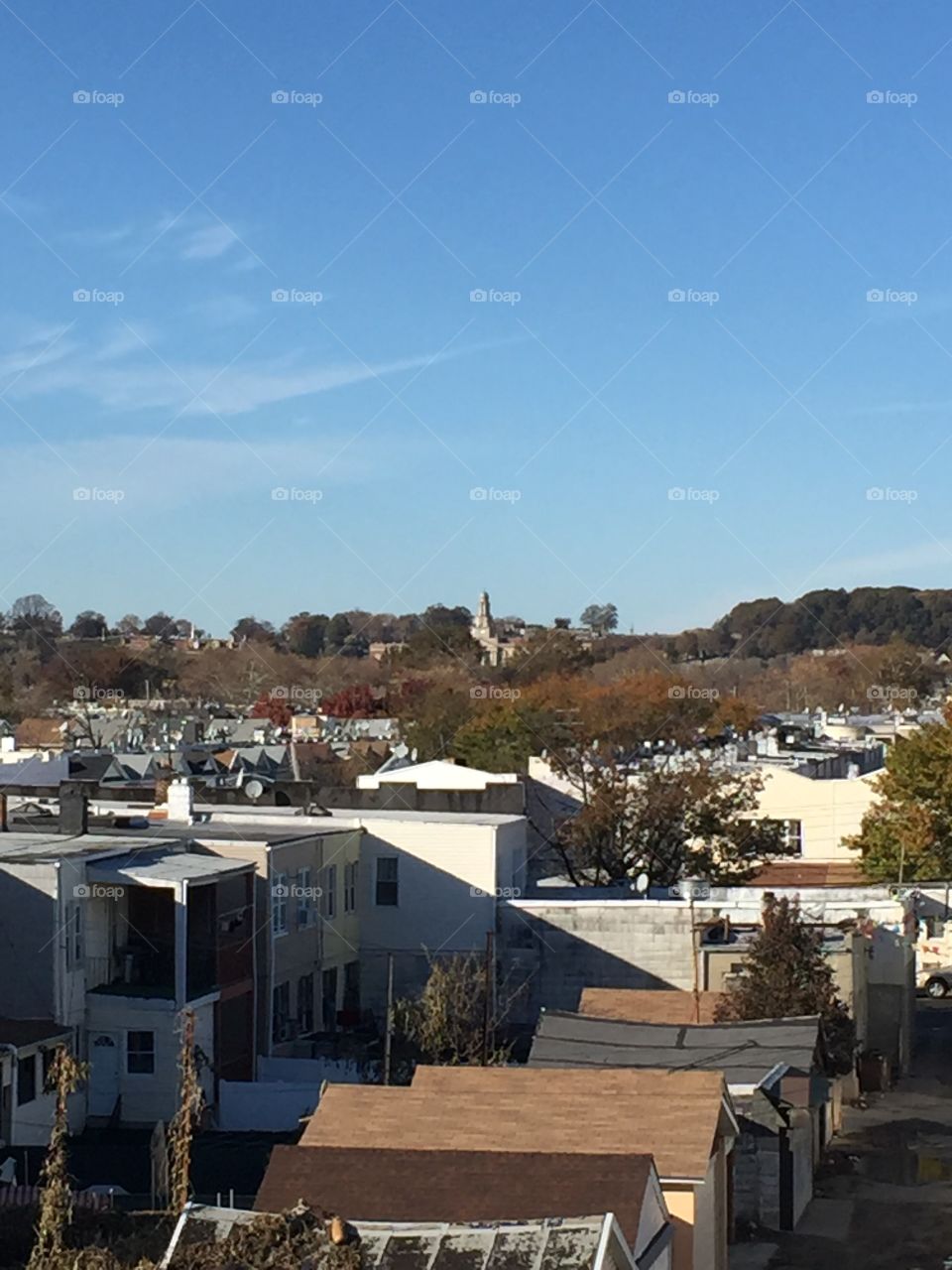 Photo of Brooklyn's sky and landscape . Taken from the transportation system.  The trees depict winter splice .