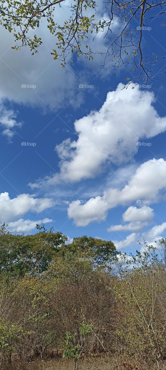 blue sky with clouds