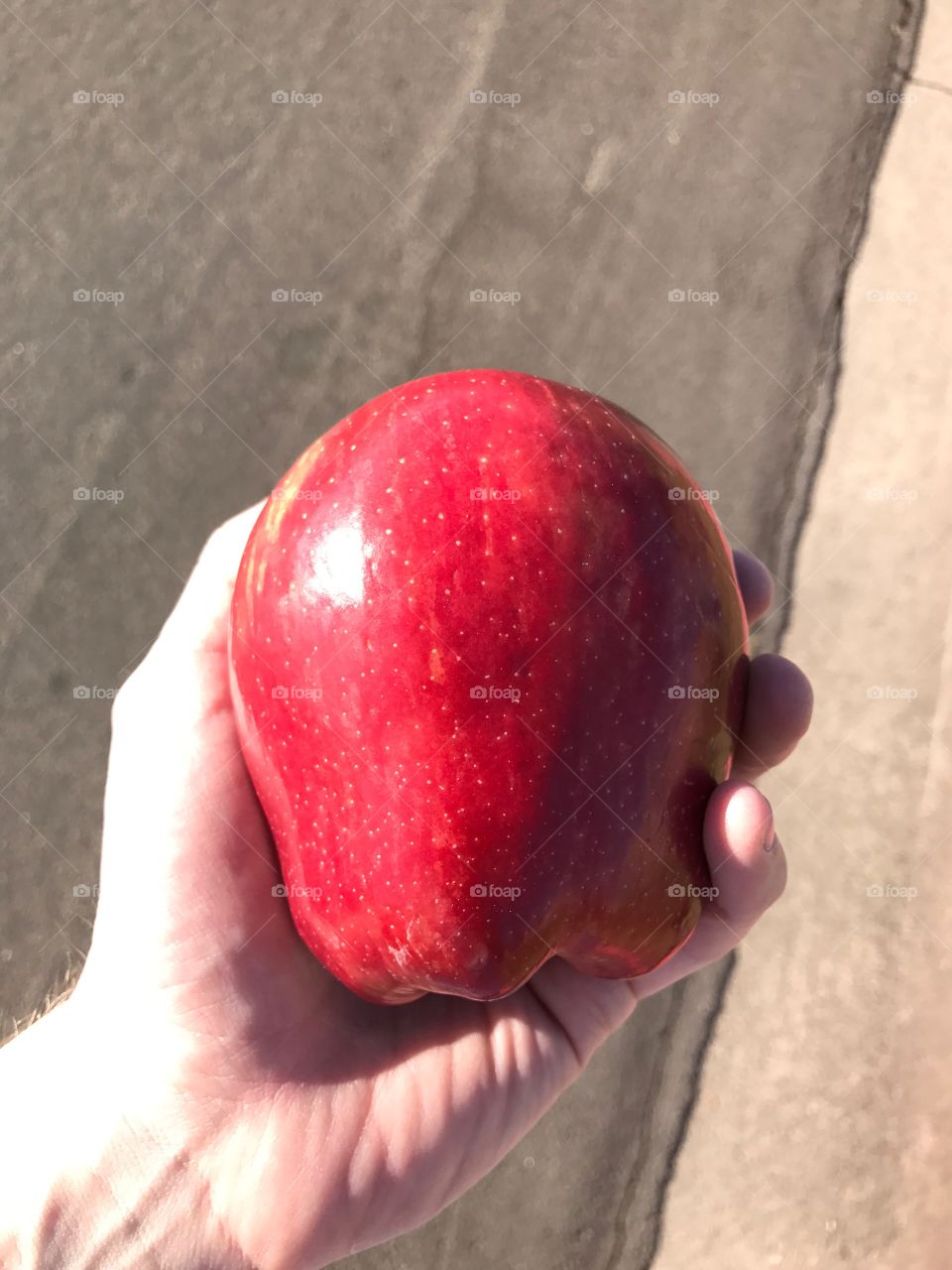 Apple Red