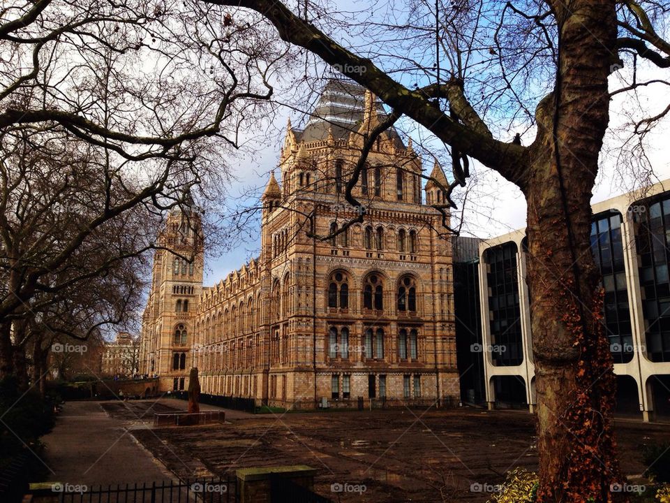 Natural history museum London