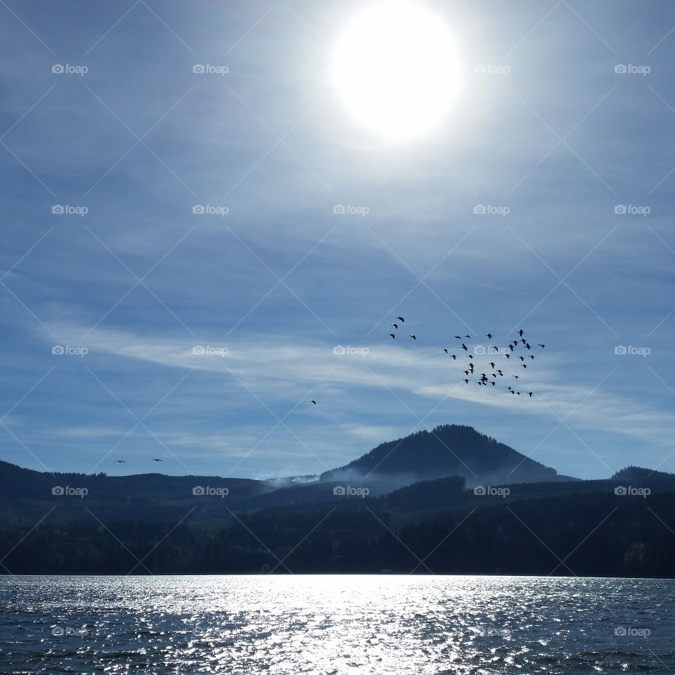 birds in flight with mountain and sun