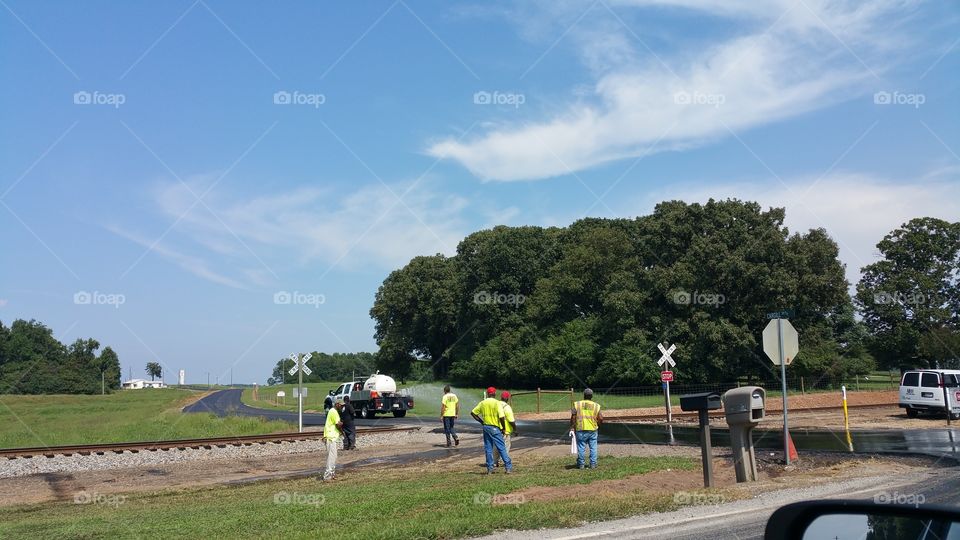 Landscape, Road, Tree, Daylight, Sky