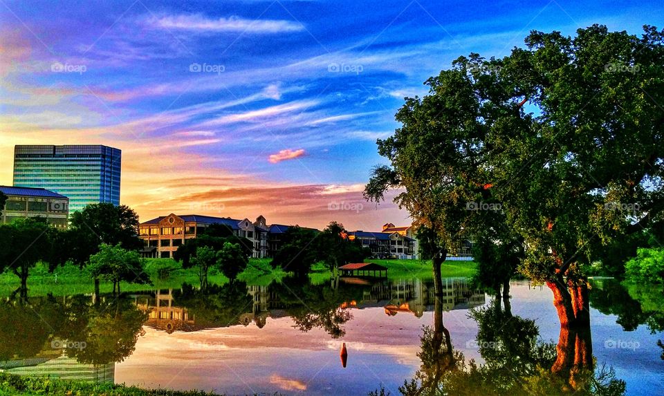 flooded reflection 