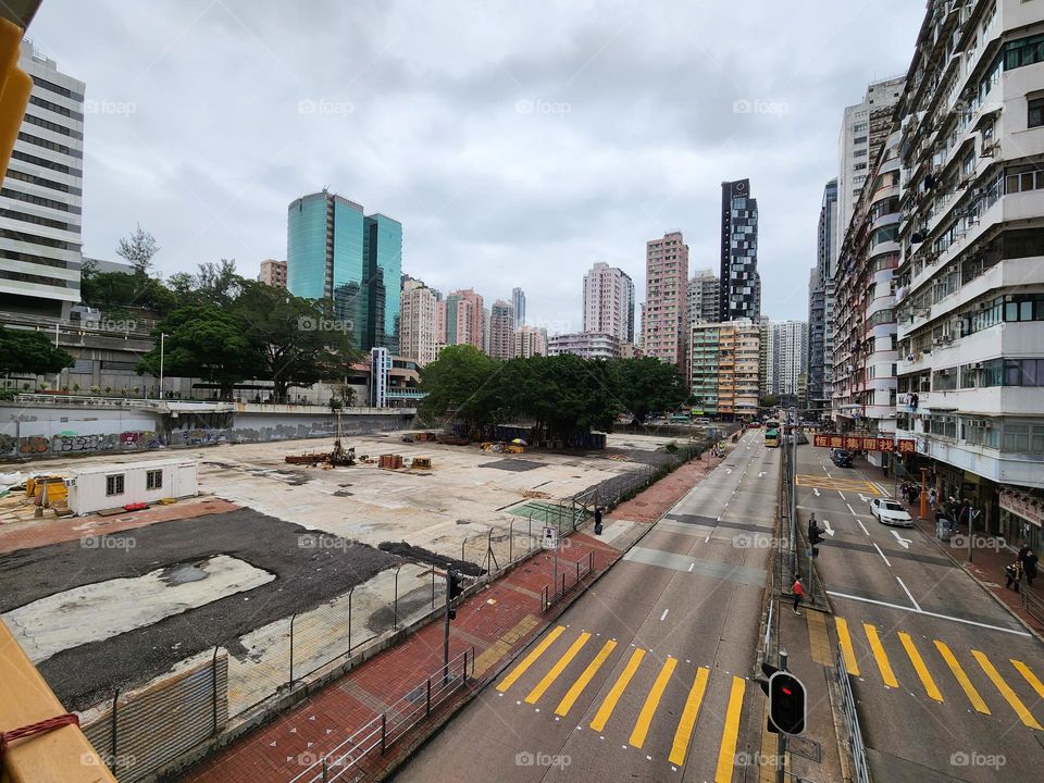 over a hundred years old of trees are still growing in the most highly populated Mongkok area in Hong Kong, which is a bloody amazing