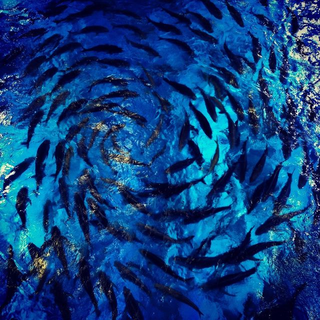 underwater