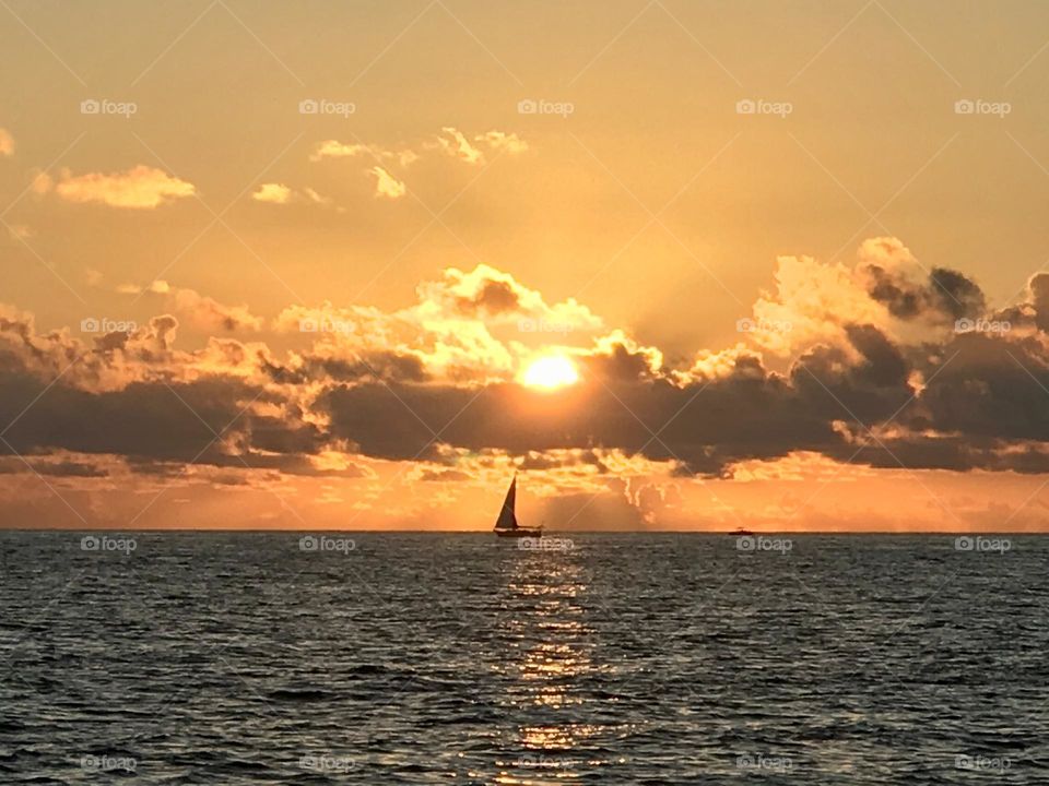 Sailing Across Nature’s Canvas