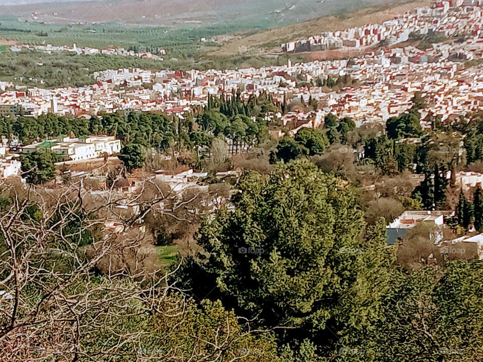 Population between the nature