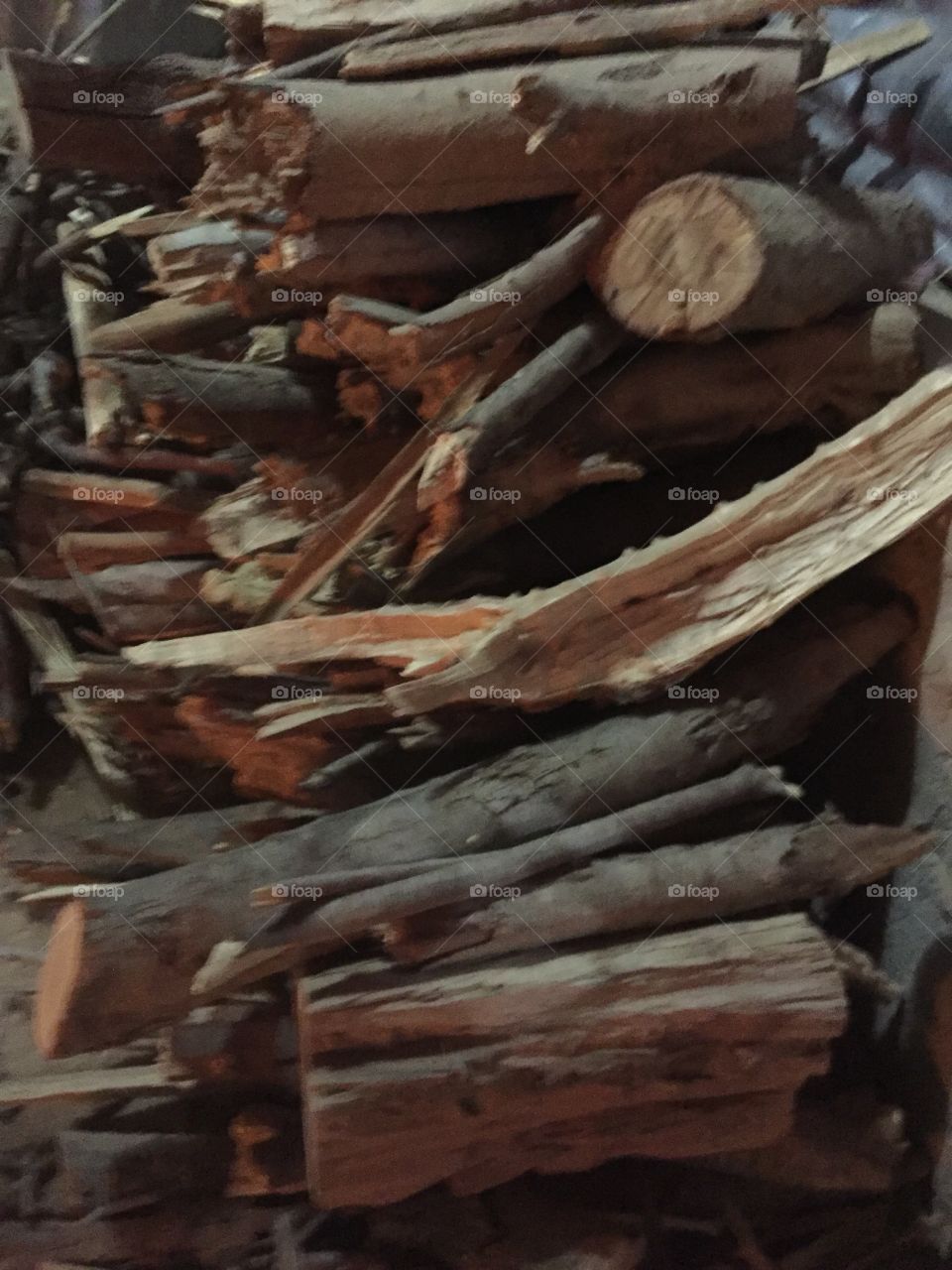 No Person, Tree Log, Wood, Tree, Bark
