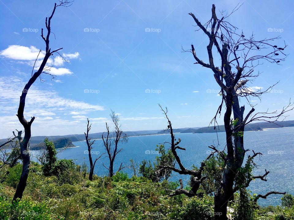 Nature never fails to amaze me 