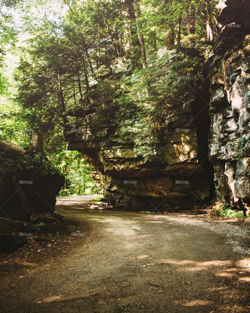 The amazing S-curve.