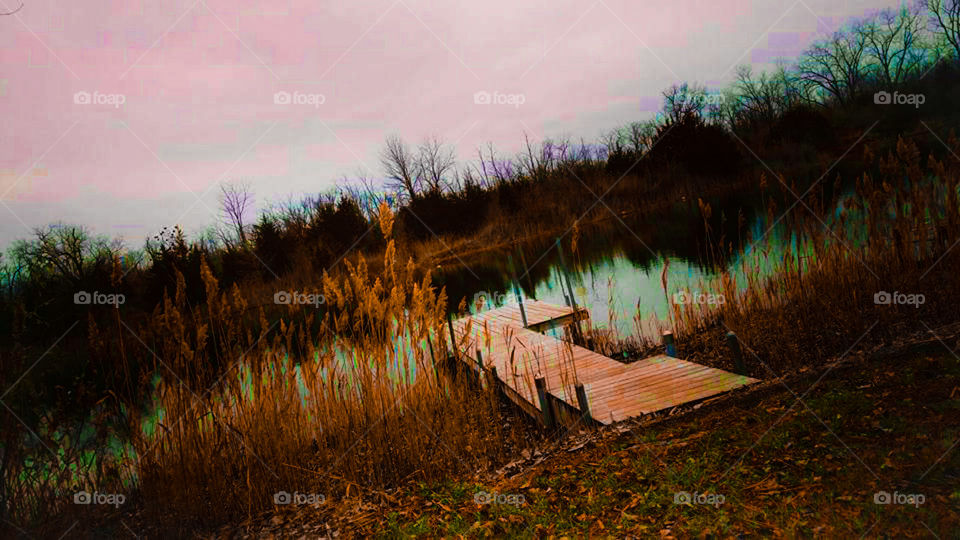 Beautiful Reflection