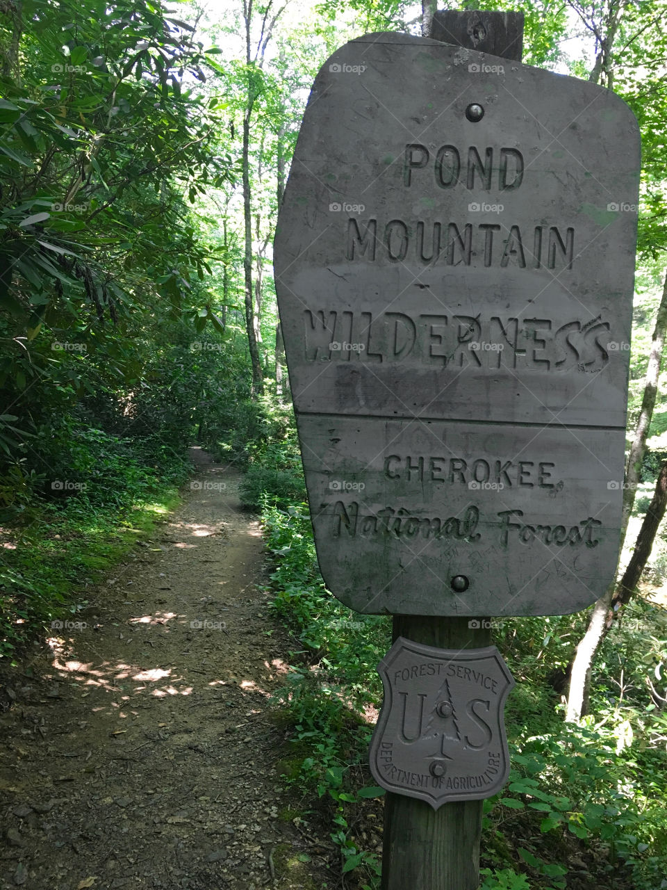 The first sign to greet you as you head into the Cherokee national forest. A beautiful beginning to such a stunning experience.